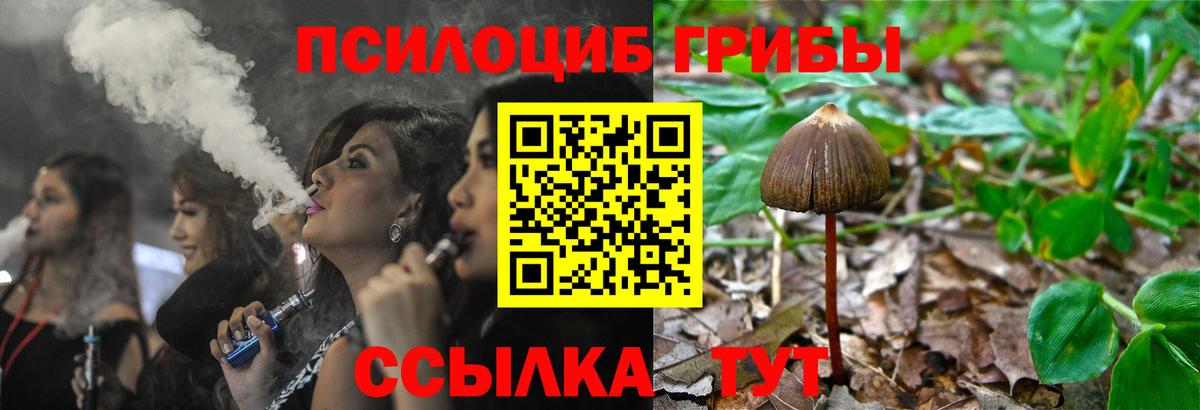 закладка  Псилоцибиновые грибы прущие грибы  Югорск  Вход с VPN  Псилоцибиновые грибы GOLDEN TEACHER 